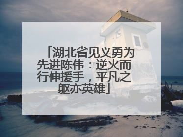 湖北省见义勇为先进陈伟：逆火而行伸援手，平凡之躯亦英雄